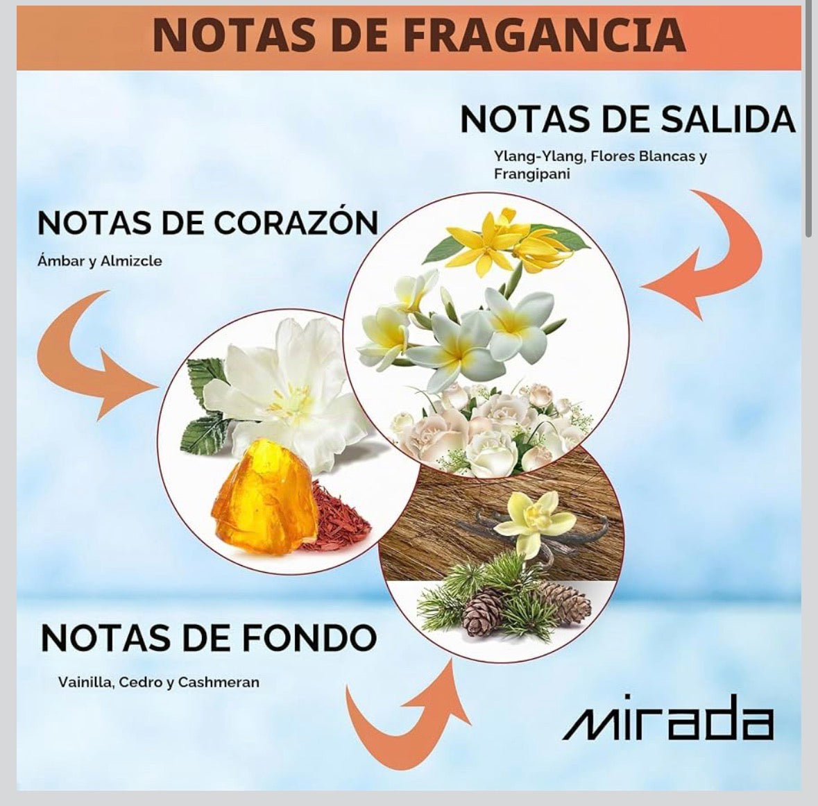 Verato Amber – Mirada Eau de Parfum 100 ml